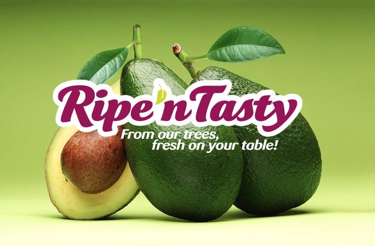 Ripe 'n Tasty - Branding
